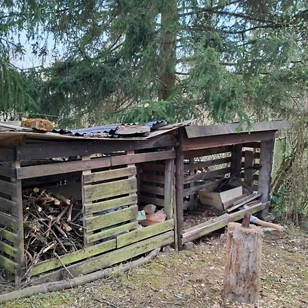 Lesni V Male Hrastici, Zazitek Klidu V Prirode *
