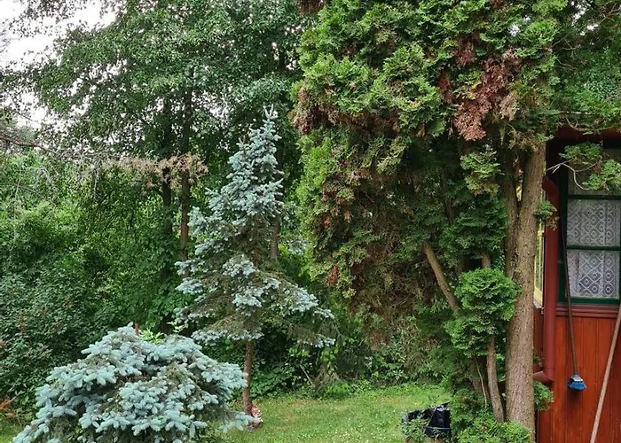 Lesni V Male Hrastici * Mala Hrastice